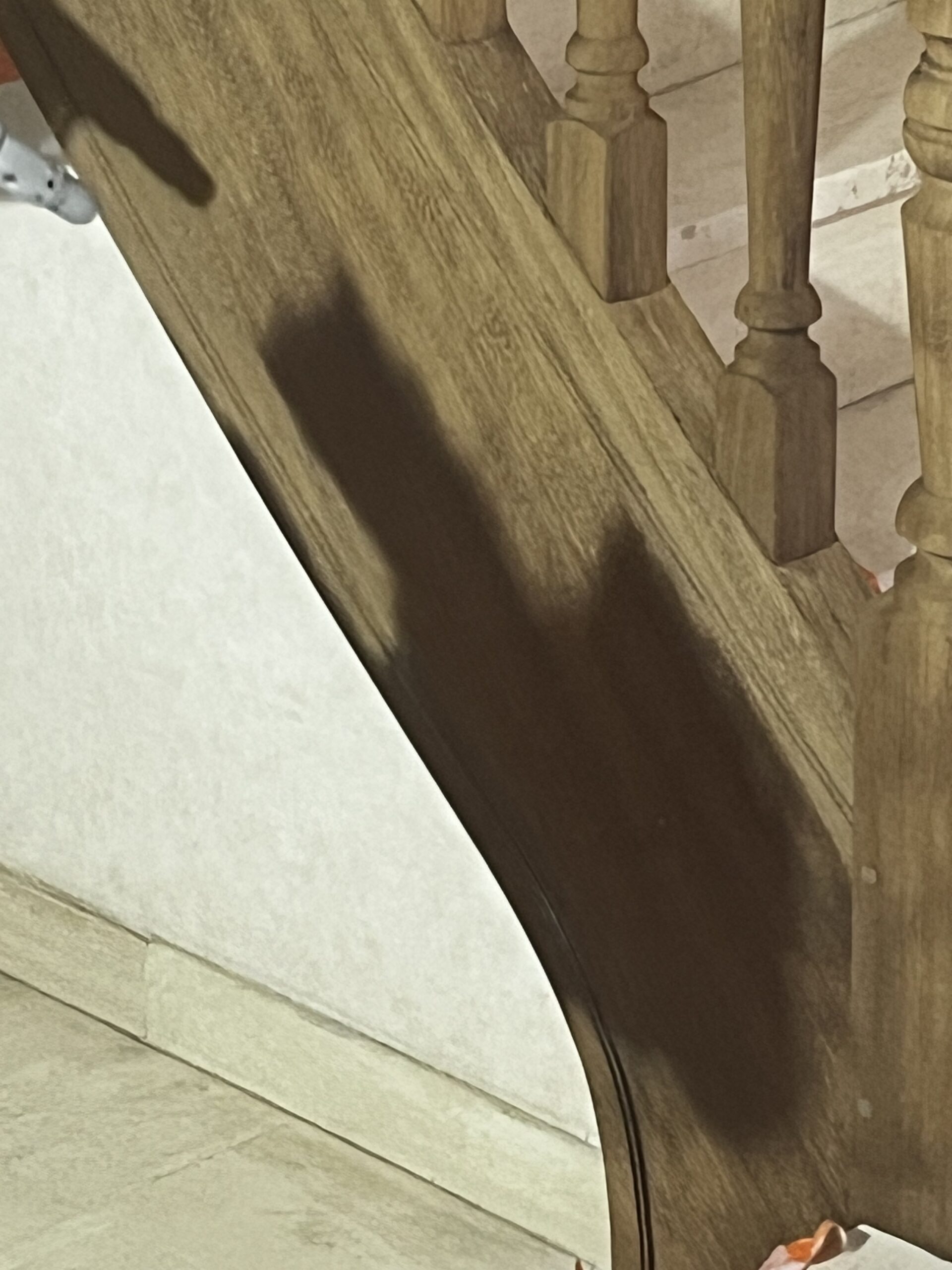 AÉROGOMMAGE D'UN ESCALIER EN CHÊNE