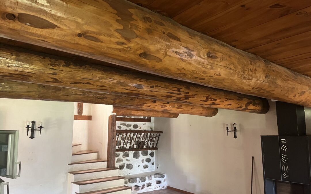 SABLAGE DE POUTRE AU PUY-EN-VELAY