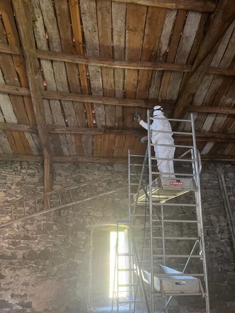 traitement des bois contre les xyllohages 