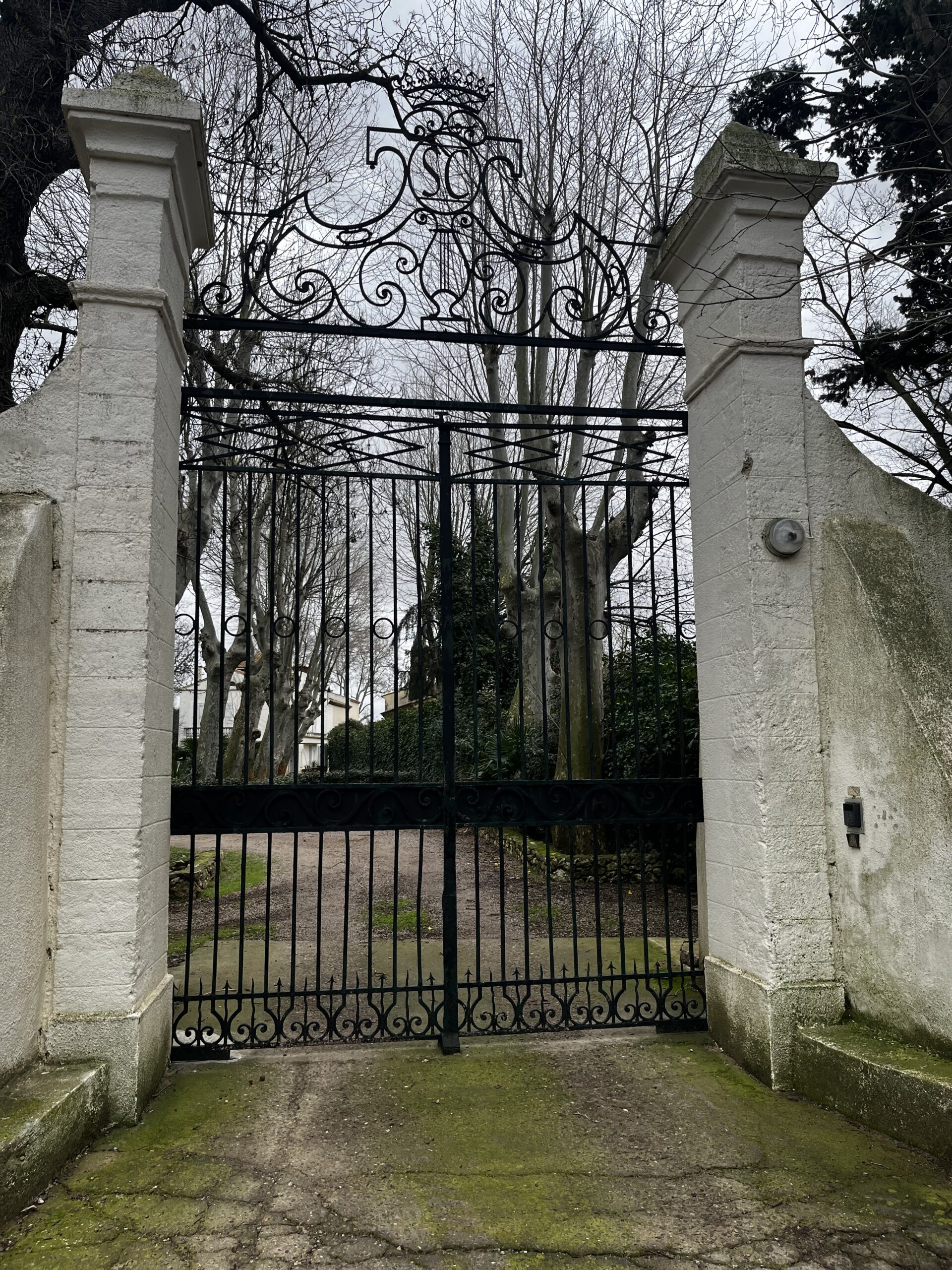 portail fer ancien avant travaux d'aérogommage et peinture